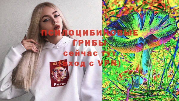 хмурый Абинск