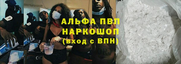 индика Нягань